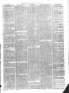 Christchurch Times Saturday 12 February 1876 Page 5