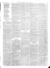 Christchurch Times Saturday 17 March 1877 Page 7