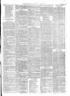 Christchurch Times Saturday 24 March 1877 Page 7