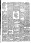 Christchurch Times Saturday 07 July 1877 Page 7