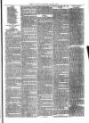 Christchurch Times Saturday 05 January 1878 Page 7