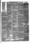 Christchurch Times Saturday 19 January 1878 Page 7