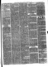 Christchurch Times Saturday 09 February 1878 Page 5