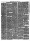 Christchurch Times Saturday 23 March 1878 Page 6