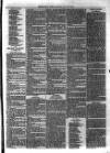 Christchurch Times Saturday 23 March 1878 Page 7