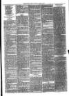Christchurch Times Saturday 13 April 1878 Page 7