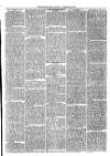 Christchurch Times Saturday 28 December 1878 Page 3