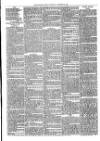 Christchurch Times Saturday 28 December 1878 Page 7