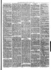 Christchurch Times Saturday 10 January 1880 Page 7