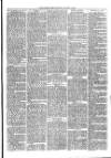 Christchurch Times Saturday 17 January 1880 Page 3