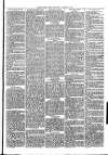 Christchurch Times Saturday 17 January 1880 Page 7