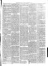 Christchurch Times Saturday 14 February 1880 Page 3