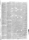 Christchurch Times Saturday 14 February 1880 Page 7