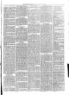 Christchurch Times Saturday 21 February 1880 Page 7