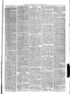 Christchurch Times Saturday 28 February 1880 Page 3