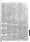 Christchurch Times Saturday 13 March 1880 Page 7