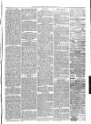 Christchurch Times Saturday 20 March 1880 Page 3