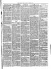 Christchurch Times Saturday 20 March 1880 Page 7