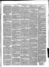 Christchurch Times Saturday 24 July 1880 Page 7