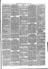 Christchurch Times Saturday 14 August 1880 Page 7