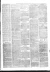 Christchurch Times Saturday 01 January 1881 Page 5