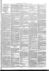 Christchurch Times Saturday 01 January 1881 Page 7