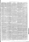 Christchurch Times Saturday 08 January 1881 Page 7