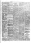 Christchurch Times Saturday 22 January 1881 Page 5