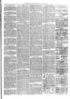 Christchurch Times Saturday 29 January 1881 Page 3