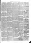 Christchurch Times Saturday 12 March 1881 Page 3