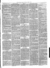 Christchurch Times Saturday 02 July 1881 Page 7