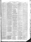 Christchurch Times Saturday 11 February 1882 Page 7