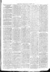 Christchurch Times Saturday 04 November 1882 Page 3