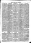 Christchurch Times Saturday 08 September 1883 Page 3