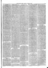 Christchurch Times Saturday 13 October 1883 Page 3