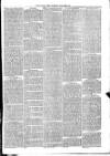 Christchurch Times Saturday 05 January 1884 Page 3