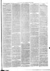Christchurch Times Saturday 05 January 1884 Page 7