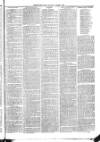 Christchurch Times Saturday 01 March 1884 Page 7