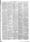 Christchurch Times Saturday 05 April 1884 Page 3
