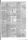 Christchurch Times Saturday 05 April 1884 Page 5