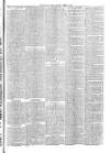 Christchurch Times Saturday 28 June 1884 Page 3