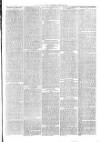Christchurch Times Saturday 16 August 1884 Page 7