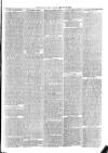 Christchurch Times Saturday 23 August 1884 Page 7