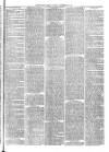 Christchurch Times Saturday 29 November 1884 Page 7