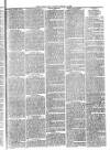 Christchurch Times Saturday 17 January 1885 Page 5