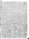 Christchurch Times Saturday 26 September 1885 Page 3
