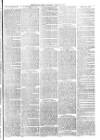 Christchurch Times Saturday 10 October 1885 Page 7