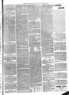 Christchurch Times Saturday 14 November 1885 Page 5