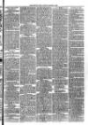 Christchurch Times Saturday 17 March 1888 Page 3