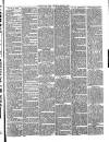 Christchurch Times Saturday 16 March 1889 Page 3